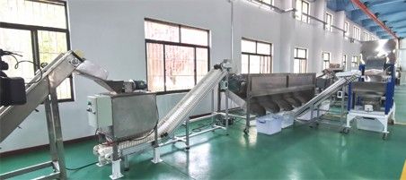 核桃去青皮清洗、提升機(jī)